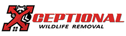 Douglasville Wildlife Removal